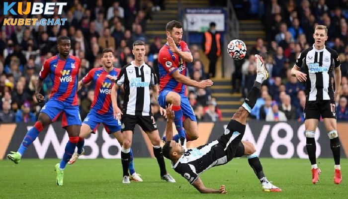 Dự đoán, soi kèo Crystal Palace vs Newcastle 22/01/2023 1 Nhận định Crystal Palace vs Newcastle