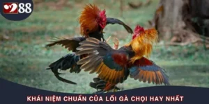 Lối Gà Chọi Hay Nhất Mà Mọi Sư Kê Nhất Định Phải Biết